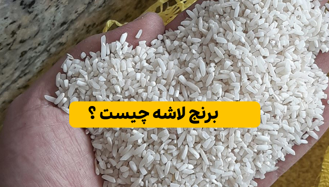 برنج لاشه چیست؟
