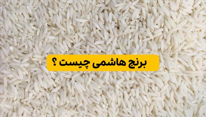 برنج هاشمی چیست؟
